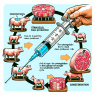 Injection de stanozolol et particularités de la stagnation dans les cycles de production de masse de viande.